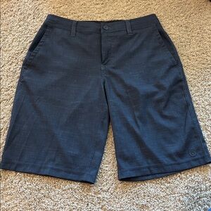 Men's Blue Shorts